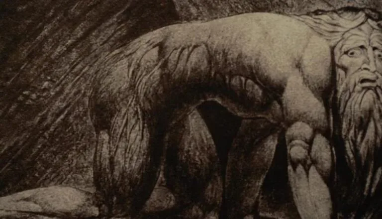 Картинка к «Остров проклятых»